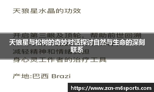 天狼星与松树的奇妙对话探讨自然与生命的深刻联系